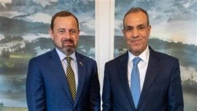 عاجل..وزير الخارجية: مصر تكثف جهودها لتذليل الصعوبات أمام انتقال شاحنات المساعدات عبر المعابر التي تربطها بالسودان