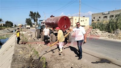 استمرار زراعة الأشجار بسيدي سالم