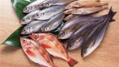 عاجل| ارتفاع جديد.. أسعار الأسماك اليوم بسوق العبور