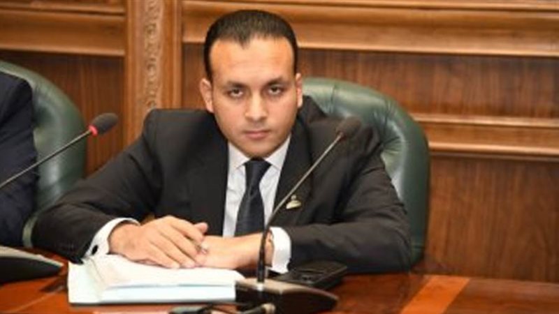النائب عمرو فهمي