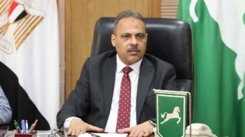 محافظ الشرقية المهندس