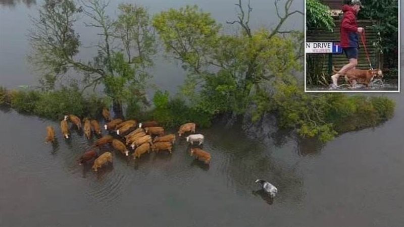 فيضانات في بريطانيا