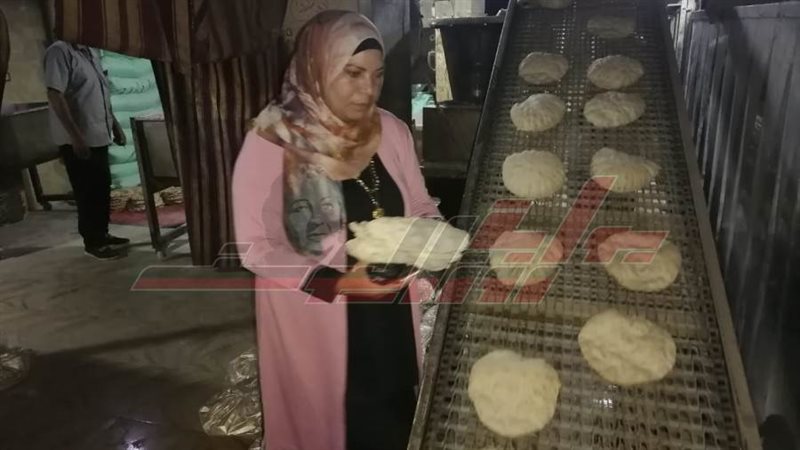 الحملات الرقابية