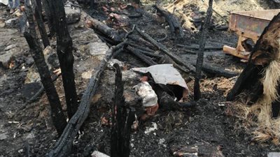 السيطرة على حريق في 4 حظائر مواشي بأسيوط دون وقوع خسائر بشرية