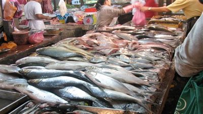 عاجل| أسعار الأسماك اليوم بسوق العبور