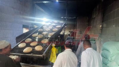 تحرير 14 محضرا لمخالفات تموينية بكفر الشيخ 