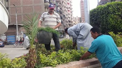 بالصور.. محافظ الغربية: تكثيف أعمال زراعة الأشجار والتجميل بالمراكز والمدن