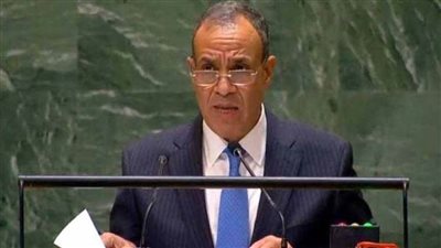 وزيرالخارجية: مصر في طليعة الجهود لتعزيز أجندة المياه عالميا