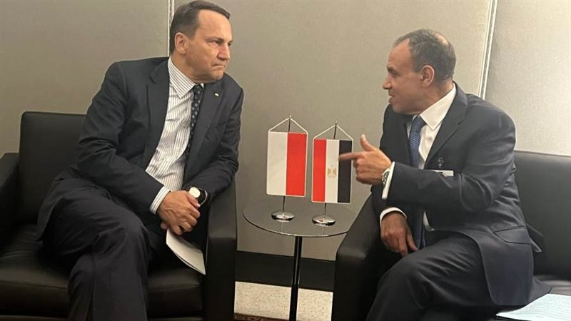 وزير الخارجية ونظيره