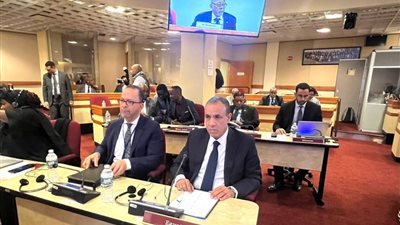عاجل..وزير الخارجية يؤكد تمسك مصر بمبادئ الإتحاد الإفريقي