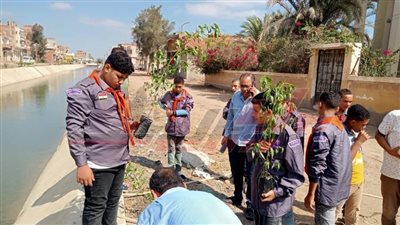 زراعة الأشجار وتجميل شوارع القرى ضمن المبادرة الرئاسية 