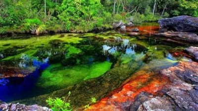 كانو كريستاليس.. النهر الذي سرق ألوان السماء ووضعها بين ضفتيه