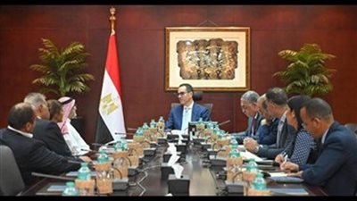 وزير الاستثمار يلتقي الرئيس التنفيذي لـ