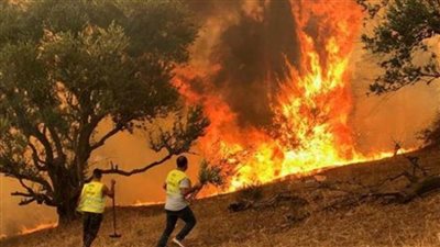 إعلان حالة الطوارئ في عاصمة الإكوادور بسبب حرائق الغابات