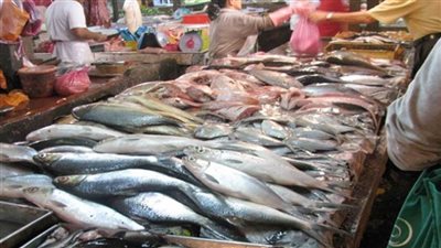 عاجل| ارتفاع جديد... تعرف على أسعار الأسماك اليوم بسوق العبور