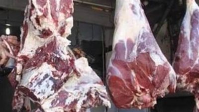 عاجل| تعرف على أسعار اللحوم اليوم