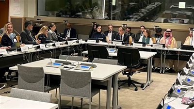 الجهود الوطنية في مقاومة مضادات الميكروبات بالجمعية العامة للأمم المتحدة