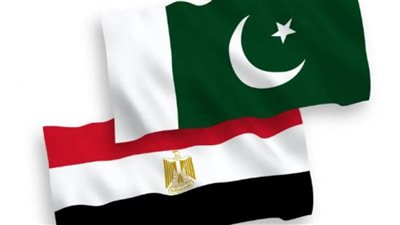 سفير مصر يبحث مع رئيس غرفة التجارة بإسلام آباد تطوير التعاون في مجالي التبادل التجاري والاستثمار