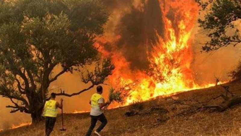 حرائق الغابات