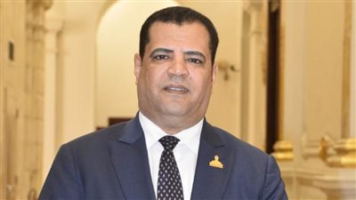 عضو بالشيوخ: التحول للدعم النقدي يساهم في وصول الدعم لمستحقيه 