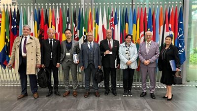 المنظمة العربية لحقوق الإنسان: دعم العدالة أمام المحكمة الجنائية الدولية بلاهاي