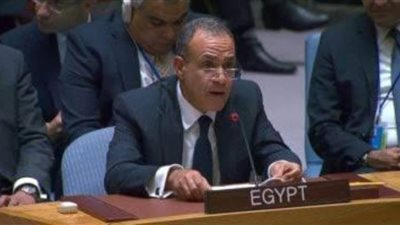 وزير الخارجية: العدوان الإسرائيلي المستمر على غزة والضفة الغربية وصمة عار على جبين المجتمع الدولي