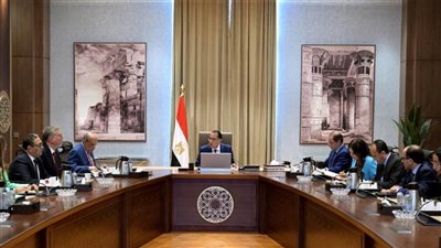 رئيس الوزراء يتابع جهود توفير المواد البترولية اللازمة لتشغيل محطات الكهرباء