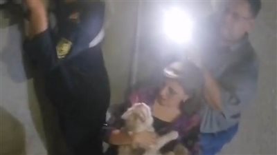 فرحة أصحاب قطة أنقذها رجال الأمن الفيوم قبل سقوطها من علو 