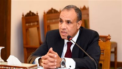 وزير الخارجية: مصر تركز على تنمية العنصر البشري في مجال التحول الرقمي
