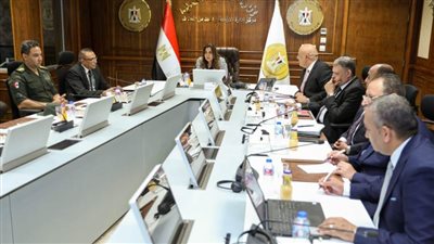 وزيرة التنمية المحلية تتابع مع سكرتيري عموم المحافظات آخر مستجدات ومعدلات الإنجاز في ملف التصالح