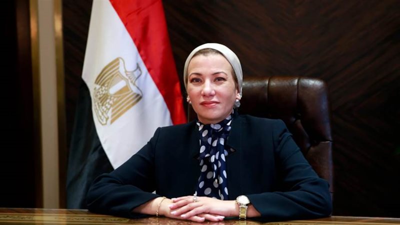 الدكتورة ياسمين فؤاد