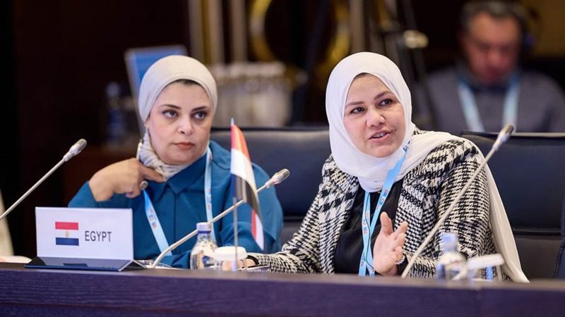 رئيس مصلحة الضرائب