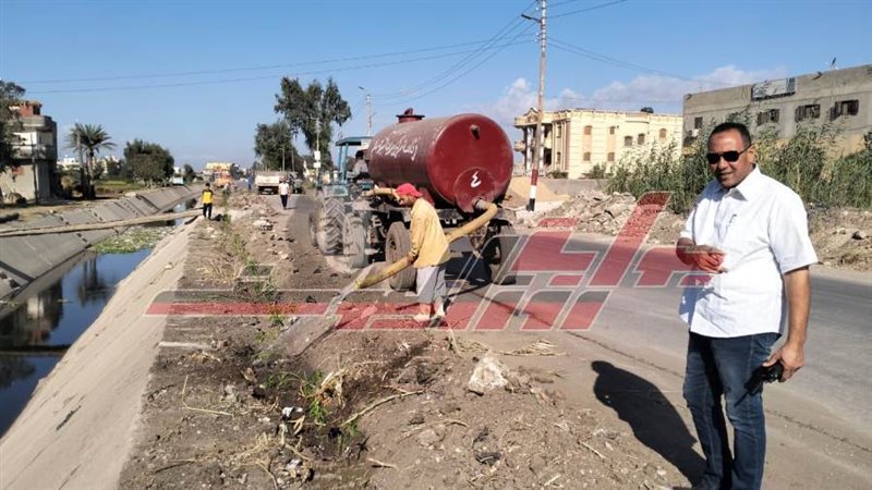 زراعة الأشجار