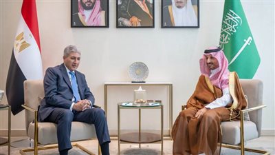 وزير السياحة والآثار يلتقى نظيره السعودي لبحث سبل التعاون المشترك بين البلدين 