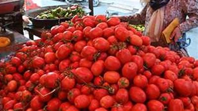 عاجل| الطماطم بـ7 جنيهات.. تعرف على  أسعار الخضروات اليوم 