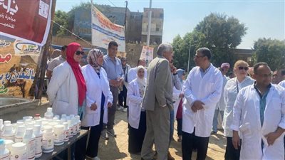 ضبط ٢٧ طن لحوم ودواجن وكبدة فاسدة بالجيزة 