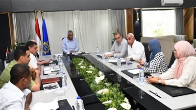 محافظ أسوان يتابع جهود إنهاء مشروع مياه الشرب والصرف الصحي بغرب سهيل