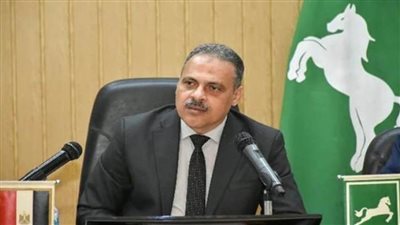 بمناسبة نصر أكتوبر المجيد.. محافظ الشرقية يبعث برقية تهنئة لرئيس الجمهورية