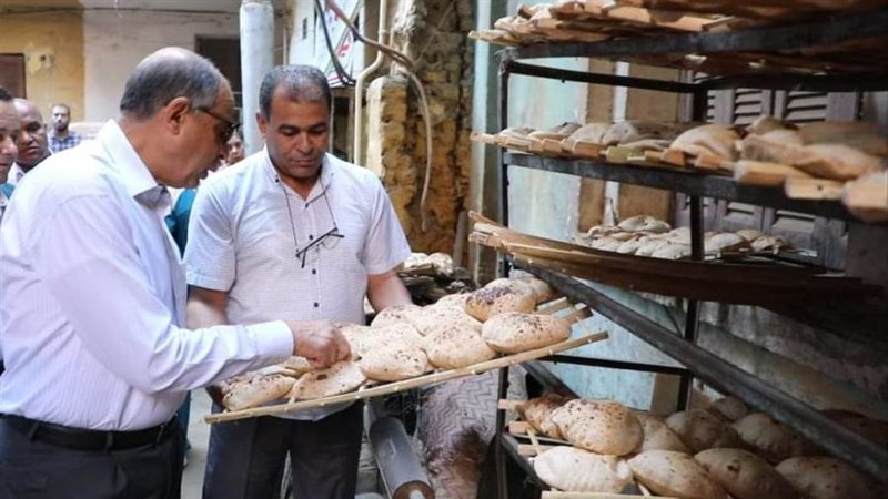 حملات تموينية متنوعة