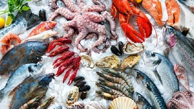 أسعار الأسماك