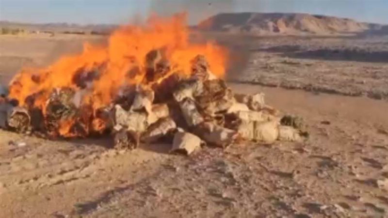 المضبوطات اثناء عملية