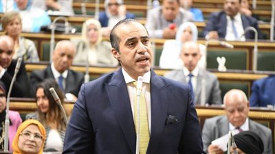 وزير شؤون المجالس النيابية: الصندوق السيادي للاستثمار ليس بوابة خلفية لبيع الأصول