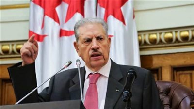 قوجيل: العدوان الإسرائيلي على غزة كارثة حلت بالقانون الدولي الإنساني