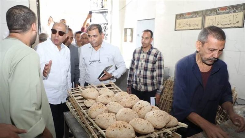 محافظ المنيا يشهد