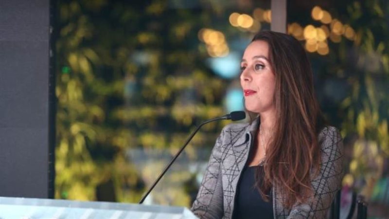 نادين عبد الغفار