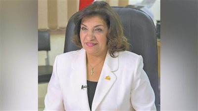 النائبة إيفلين متى: بيان الفريق كامل الوزير بشأن 