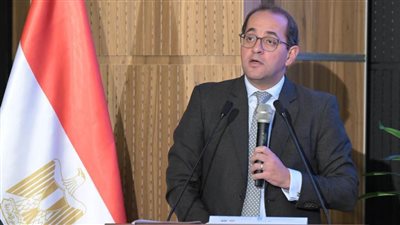 وزير المالية: وضع سقف للغرامات