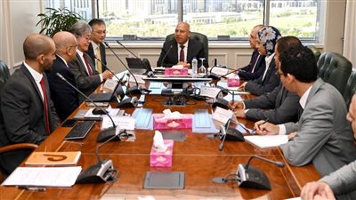 الوزير يستقبل سفير اليابان بالقاهرة ووفد شركة يازاكي للأنظمة الكهربائية