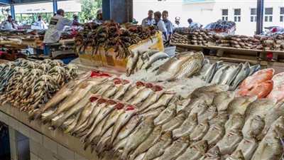 عاجل| تحرك جديد... أسعار الأسماك اليوم بسوق العبور