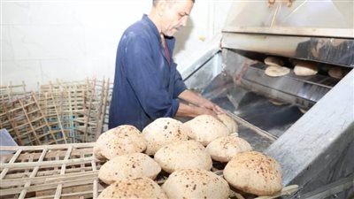 ضبط 247 مخالفة خلال حملات تفتيشية تموينية مكبرة على المخابز والأسواق بالمنيا 